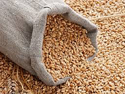 Развитие зернового рынка Украины